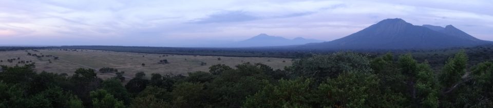 Savanna horizon